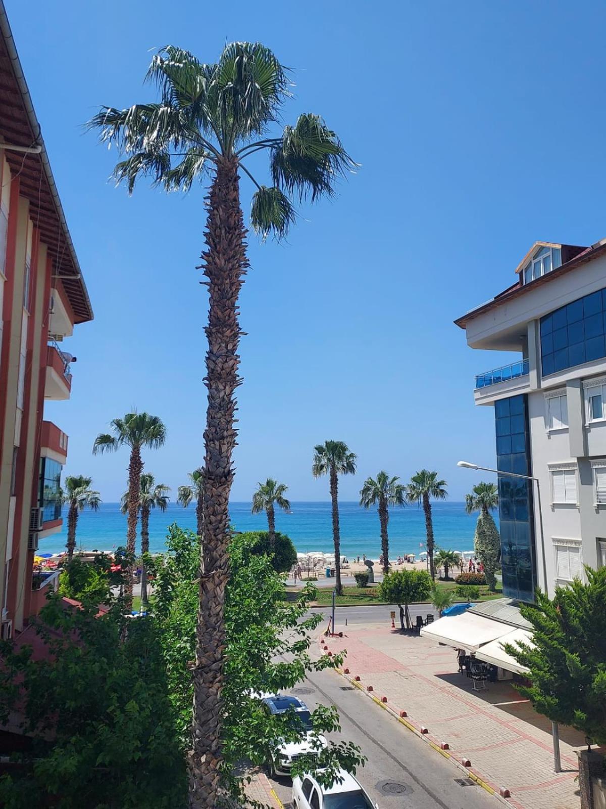 Kleopatra Sahara Hotel Alanya Exterior foto